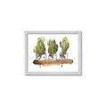 Picture of Splashed Cactus II  _GroupedProduct_Rectangle_Landscape_Framed_Matted_