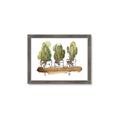 Picture of Splashed Cactus II  _GroupedProduct_Rectangle_Landscape_Framed_Matted_