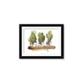 Picture of Splashed Cactus II  _GroupedProduct_Rectangle_Landscape_Framed_Matted_