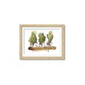 Picture of Splashed Cactus II  _GroupedProduct_Rectangle_Landscape_Framed_Matted_