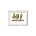 Picture of Splashed Cactus II  _GroupedProduct_Rectangle_Landscape_Framed_Matted_