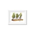 Picture of Splashed Cactus II  _GroupedProduct_Rectangle_Landscape_Framed_Matted_