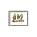 Picture of Splashed Cactus II  _GroupedProduct_Rectangle_Landscape_Framed_Matted_