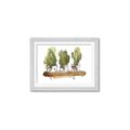 Picture of Splashed Cactus II  _GroupedProduct_Rectangle_Landscape_Framed_Matted_