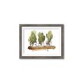 Picture of Splashed Cactus II  _GroupedProduct_Rectangle_Landscape_Framed_Matted_