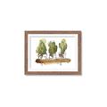 Picture of Splashed Cactus II  _GroupedProduct_Rectangle_Landscape_Framed_Matted_
