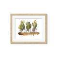 Picture of Splashed Cactus II  _GroupedProduct_Rectangle_Landscape_Framed_Matted_
