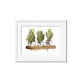 Picture of Splashed Cactus II  _GroupedProduct_Rectangle_Landscape_Framed_Matted_