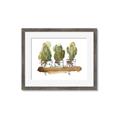 Picture of Splashed Cactus II  _GroupedProduct_Rectangle_Landscape_Framed_Matted_