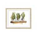 Picture of Splashed Cactus II  _GroupedProduct_Rectangle_Landscape_Framed_Matted_