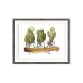 Picture of Splashed Cactus II  _GroupedProduct_Rectangle_Landscape_Framed_Matted_