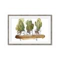 Picture of Splashed Cactus II  _GroupedProduct_Rectangle_Landscape_Framed_Matted_