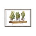 Picture of Splashed Cactus II  _GroupedProduct_Rectangle_Landscape_Framed_Matted_