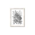 Picture of Sketched Flower II  _GroupedProduct_Rectangle_Portrait_Framed_Matted_