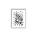 Picture of Sketched Flower II  _GroupedProduct_Rectangle_Portrait_Framed_Matted_