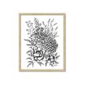 Picture of Sketched Flower II  _GroupedProduct_Rectangle_Portrait_Framed_Matted_