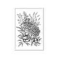 Picture of Sketched Flower II  _GroupedProduct_Rectangle_Portrait_Framed_Matted_