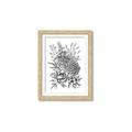 Picture of Sketched Flower II  _GroupedProduct_Rectangle_Portrait_Framed_Matted_