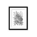Picture of Sketched Flower II  _GroupedProduct_Rectangle_Portrait_Framed_Matted_