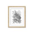 Picture of Sketched Flower II  _GroupedProduct_Rectangle_Portrait_Framed_Matted_