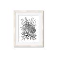 Picture of Sketched Flower II  _GroupedProduct_Rectangle_Portrait_Framed_Matted_