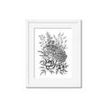 Picture of Sketched Flower II  _GroupedProduct_Rectangle_Portrait_Framed_Matted_