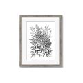 Picture of Sketched Flower II  _GroupedProduct_Rectangle_Portrait_Framed_Matted_
