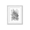 Picture of Sketched Flower II  _GroupedProduct_Rectangle_Portrait_Framed_Matted_