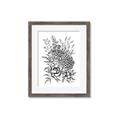 Picture of Sketched Flower II  _GroupedProduct_Rectangle_Portrait_Framed_Matted_