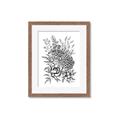 Picture of Sketched Flower II  _GroupedProduct_Rectangle_Portrait_Framed_Matted_