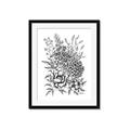 Picture of Sketched Flower II  _GroupedProduct_Rectangle_Portrait_Framed_Matted_