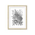 Picture of Sketched Flower II  _GroupedProduct_Rectangle_Portrait_Framed_Matted_