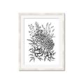 Picture of Sketched Flower II  _GroupedProduct_Rectangle_Portrait_Framed_Matted_