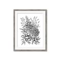 Picture of Sketched Flower II  _GroupedProduct_Rectangle_Portrait_Framed_Matted_