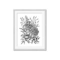 Picture of Sketched Flower II  _GroupedProduct_Rectangle_Portrait_Framed_Matted_