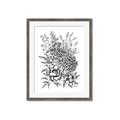 Picture of Sketched Flower II  _GroupedProduct_Rectangle_Portrait_Framed_Matted_