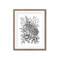Picture of Sketched Flower II  _GroupedProduct_Rectangle_Portrait_Framed_Matted_