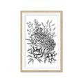 Picture of Sketched Flower II  _GroupedProduct_Rectangle_Portrait_Framed_Matted_