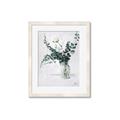 Picture of Flower in Bottle _GroupedProduct_Rectangle_Portrait_Framed_Matted_