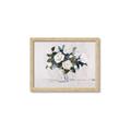 Picture of White Roses _GroupedProduct_Rectangle_Landscape_Framed_Matted_