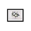 Picture of White Roses _GroupedProduct_Rectangle_Landscape_Framed_Matted_