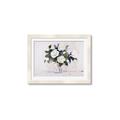 Picture of White Roses _GroupedProduct_Rectangle_Landscape_Framed_Matted_