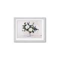 Picture of White Roses _GroupedProduct_Rectangle_Landscape_Framed_Matted_