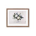 Picture of White Roses _GroupedProduct_Rectangle_Landscape_Framed_Matted_