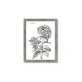 Picture of Hydrangea Sketch  _GroupedProduct_Rectangle_Portrait_Framed_Matted_