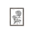 Picture of Hydrangea Sketch  _GroupedProduct_Rectangle_Portrait_Framed_Matted_
