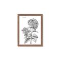 Picture of Hydrangea Sketch  _GroupedProduct_Rectangle_Portrait_Framed_Matted_