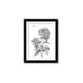 Picture of Hydrangea Sketch  _GroupedProduct_Rectangle_Portrait_Framed_Matted_