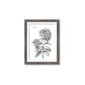 Picture of Hydrangea Sketch  _GroupedProduct_Rectangle_Portrait_Framed_Matted_