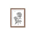 Picture of Hydrangea Sketch  _GroupedProduct_Rectangle_Portrait_Framed_Matted_